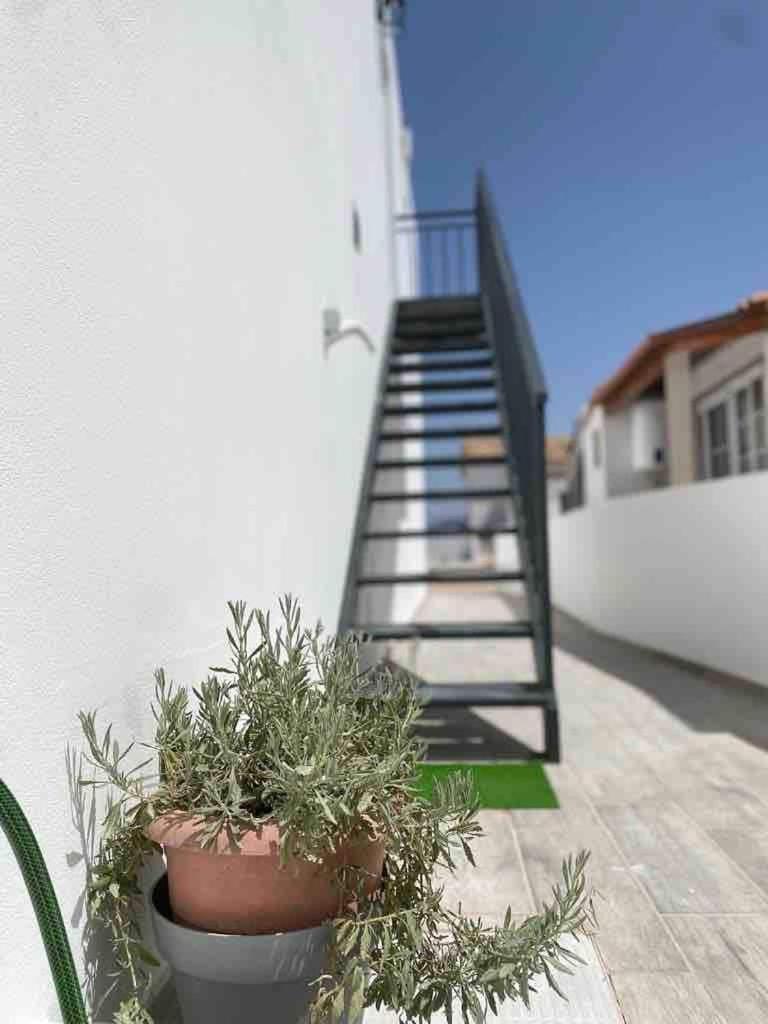 Casa Ramiro T2 Paradisiaco Entre O Mar E A Ria Ilha da Culatra Exterior foto